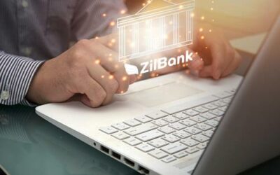 Zero Fees, Maximum Freedom: Unleash Your Business Potential with Fee-Free Banking