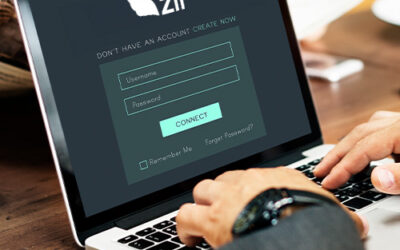How BlueVine Bank Alternative, Zil Ensures Safe Transactions